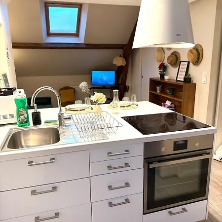 Le Marechal Deluxe Appartement